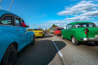 Güneşli bir günde deniz kenarında uzun bir sıra araba durdu. Ön planda Amerikan klasik arabaları, yan tarafta bekleyen insanlar.