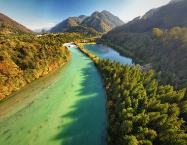 Avusturya 'da Steyr Nehri' nin yoğun, yemyeşil ormanlarının hava manzarası