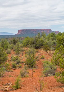 Sedona, Arizona, ABD 'deki Devils Köprüsü Yürüyüşü çevresindeki dramatik manzaraların dikey çekimi