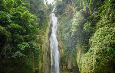 Büyüleyici Mantayupan Şelaleleri Filipinler 'deki ağaçlar ve otlarla kaplı kayalık bir alana akıyor.