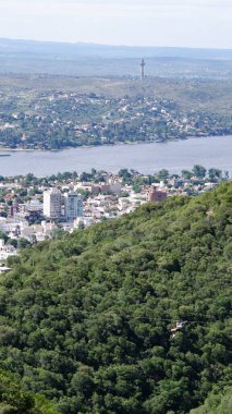 Yaz günü yağmur ormanlarından şehrin sahil binalarına güzel yeşil bir manzara.