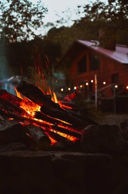 Akşam evin yakınındaki bir şenlik ateşinin dikey yakın çekimi arka planı bulanıklaştırdı.