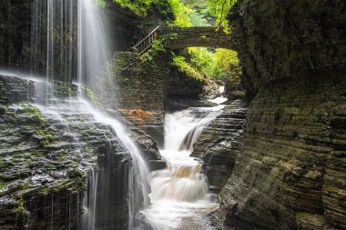 Uçurumlar ve sık ağaçlarla çevrili akan bir nehir.