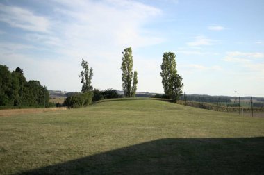 Doğada güzel bir manzara, çimen tarlası ve parlak bir gökyüzünün altında çalılık yeşil ağaçlar.