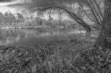 Kuzey Carolina 'da kasvetli bir günde çıplak ağaçlarla çevrili küçük bir su birikintisinin gri lekesi.
