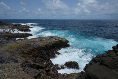 Okyanus dalgalarının kayalara çarptığı güzel bir manzara.