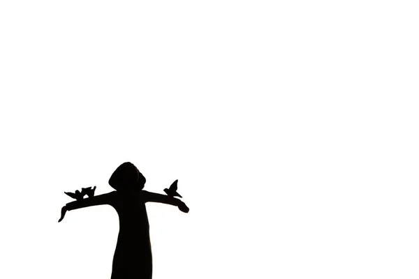 Silhouette Angel Birds Her Hand Isolated White Background — Stock Photo, Image