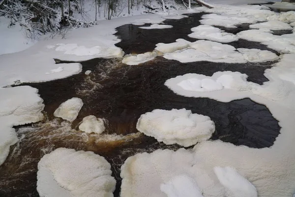 Primer Plano Río Que Está Ligeramente Congelado Medio Bosque Durante — Foto de Stock