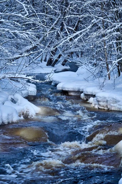 雪の森を流れる川と冬の風景 長時間露光 — ストック写真