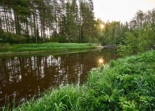 Une Rivière Qui Coule Dans Une Forêt Coucher Soleil — Photo