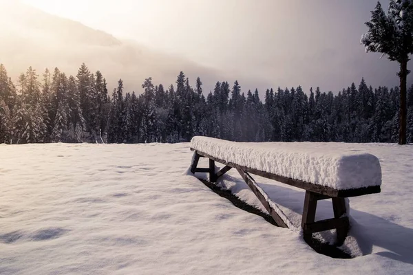 Paesaggio Invernale Con Uno Skyline Alberi Innevati Una Panchina Circondata — Foto Stock