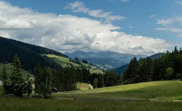 Hermoso Valle Verde Los Alpes Rodeado Por Bosque Bajo Cielo —  Fotos de Stock