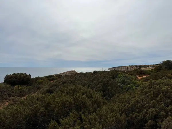 Ein Malerischer Blick Auf Eine Mit Vegetation Bedeckte Küste Und — Stockfoto