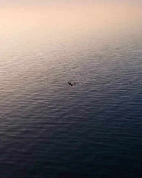 穏やかな海の上の金色の空の豪華なドローンビューボートを漕ぐ人のシルエットと日没時 — ストック写真