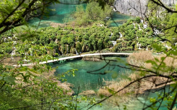Piękna Sceneria Jezior Wodospadów Świeżej Roślinności Parku Narodowym Jezior Plitwickich — Zdjęcie stockowe