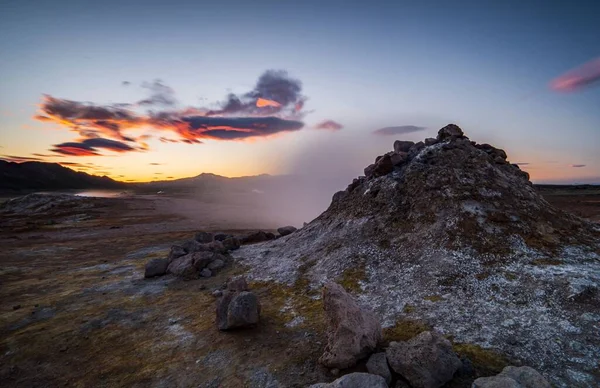 冰岛午夜阳光下的一个熏衣草 — 图库照片