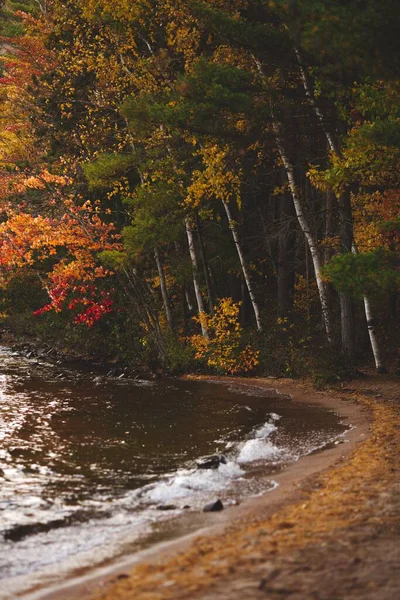 カナダのオンタリオ州の森の近くの美しい湖の垂直ショット — ストック写真