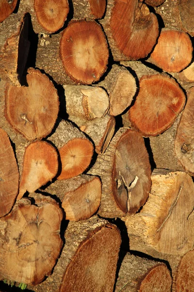 Birbirinin Üzerine Odun Yığılmış Dikey Bir Çekim — Stok fotoğraf