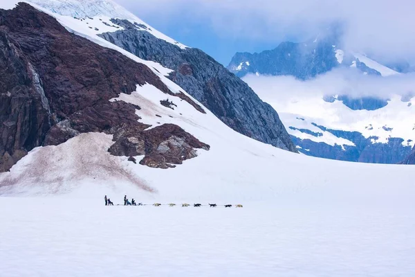 Grupp Slädhundar Som Plundrar Människor Släden Juneau Alaska — Stockfoto