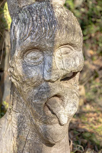 外張りの舌で木彫りの顔 — ストック写真