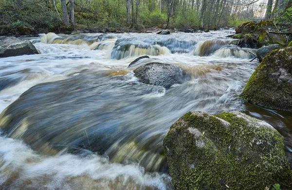 Primer Plano Río Que Fluye Bosque —  Fotos de Stock