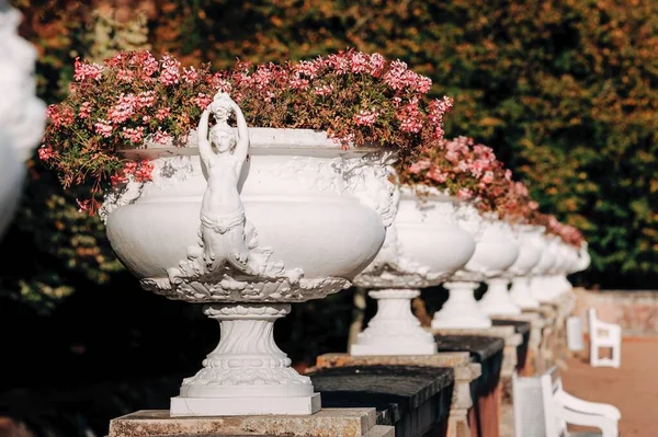 Vase Flowers Pedestal North France — Stock Photo, Image