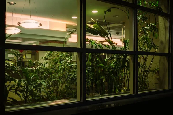 Uma Vista Exterior Edifício Com Muitas Plantas Verdes Noite — Fotografia de Stock