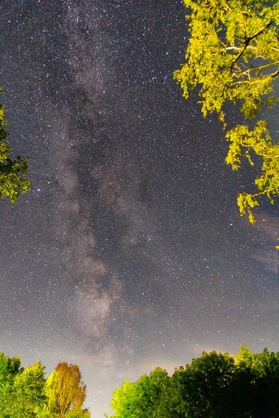 满天星斗的低角 云彩映照在树梢之上 — 图库照片