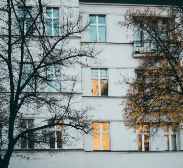 Nahaufnahme Eines Weißen Gebäudes Mit Fenstern Hinter Den Bäumen — Stockfoto