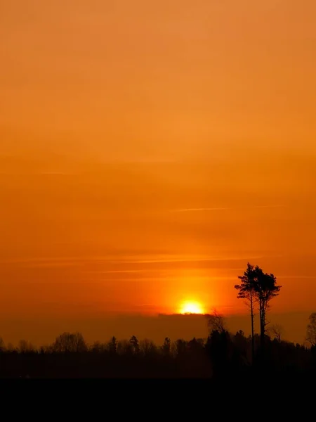 Una Toma Vertical Una Hermosa Puesta Sol Naranja Con Contorno —  Fotos de Stock