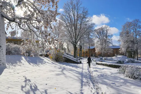 Eine Frau Spaziert Einem Verschneiten Wintertag Einem Örtlichen Park Der — Stockfoto