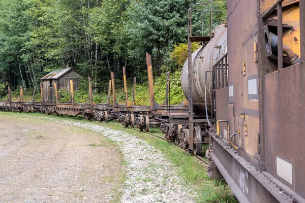 森の中の鉄道車両や線路の閉鎖ショット — ストック写真
