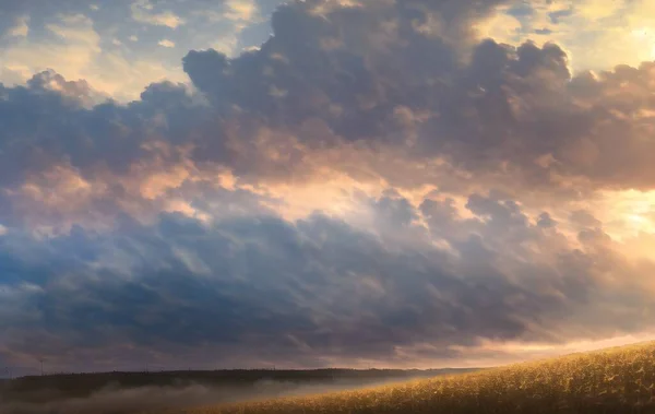 Вид Повітря Пшеничне Поле Під Час Заходу Сонця — стокове фото