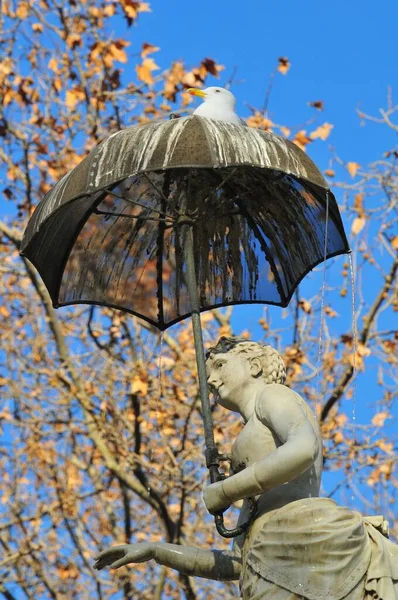 Una Vista Una Gaviota Sentada Paraguas Una Estatua —  Fotos de Stock
