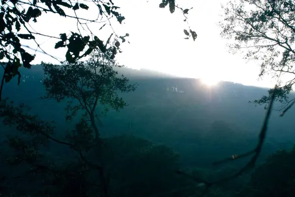 緑の森の丘の後ろの日の出 — ストック写真