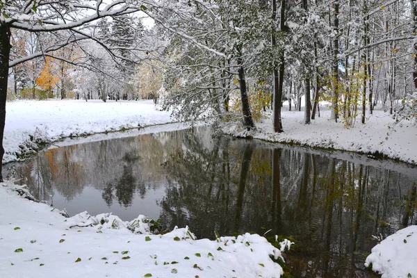 Dammen Vinterparken Omgiven Snötäckta Träd — Stockfoto