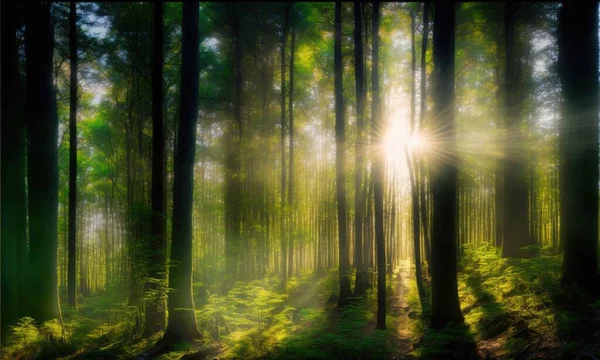 Bokeh Światło Słoneczne Świecące Przez Gęsty Las Prawem Zielonej Roślinności — Zdjęcie stockowe