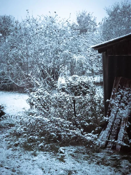 Eine Vertikale Aufnahme Eines Schneebedeckten Gartens Einem Kalten Wintertag — Stockfoto