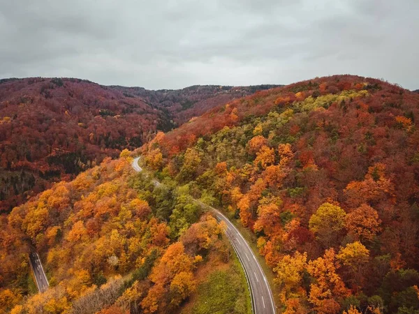 曇りの空の下で丘の中腹に美しいカラフルな木々に囲まれた湾曲した道路の息をのむ秋のショット — ストック写真