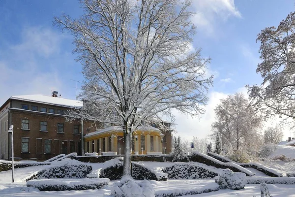 Ein Hoher Schneebedeckter Baum Mit Einem Gebäude Hintergrund Einem Verschneiten — Stockfoto