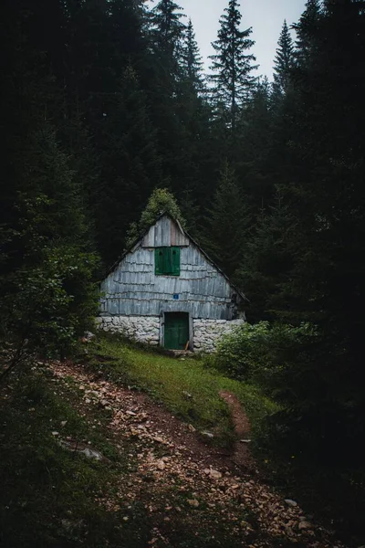 Μια Κάθετη Φωτογραφία Της Καλύβας Στο Δάσος Όμορφη Καμπίνα Πευκοδάσος — Φωτογραφία Αρχείου