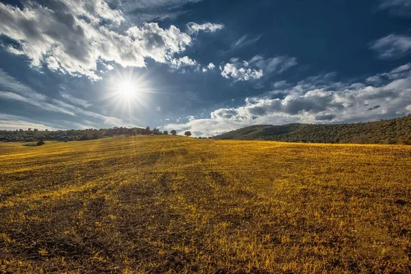 Gorgeous View Countryside Bright Sun Shining Vast Yellow Field — Stock Photo, Image