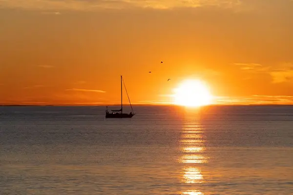 Beautiful Orange Sunset Silhouette Sailboat Seabirds — Stock Photo, Image