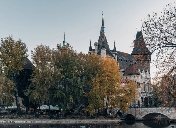 Hrad Vajdahunyad Obklopený Krásnými Podzimními Stromy Budapešti Maďarsko — Stock fotografie
