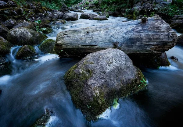 Primer Plano Río Que Fluye Bosque — Foto de Stock