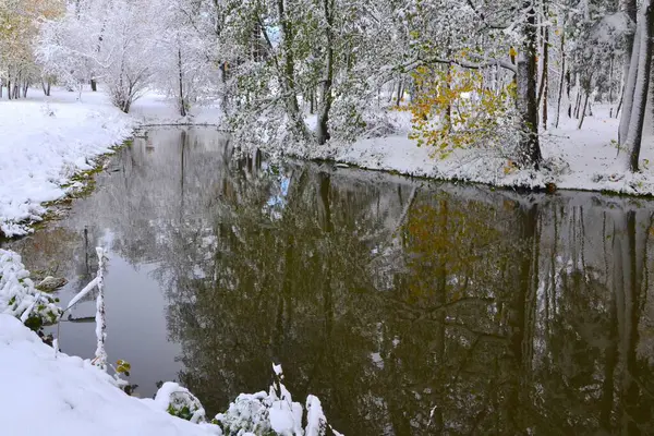 Der Teich Winterpark Umgeben Von Schneebedeckten Bäumen — Stockfoto