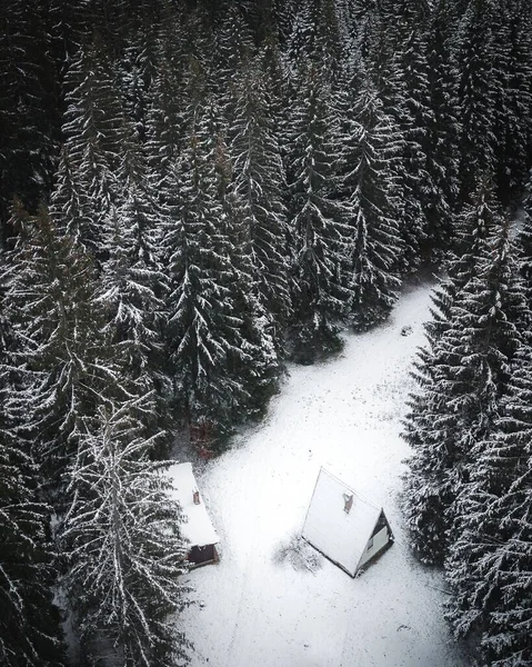 Een Luchtfoto Van Houten Hutten Bedekt Met Sneeuw Een Dennenbos — Stockfoto
