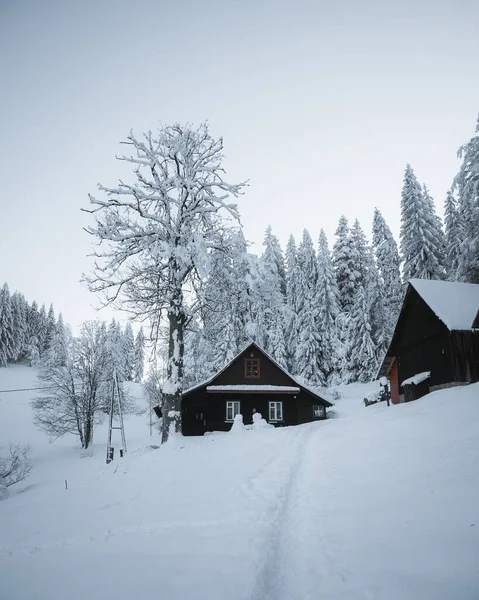 在蓝天下 一幅幅被雪覆盖的木制房屋和树木的垂直照片 — 图库照片