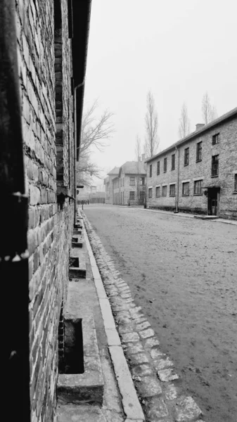 Een Grijze Opname Van Lege Weg Concentratiekamp Auschwitz Herfst — Stockfoto