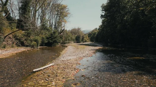 Rio Raso Lamacento Com Folhas Caídas Que Fluem Uma Floresta — Fotografia de Stock